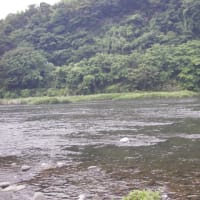 6/9 相模川で2回目だが天候もイマイチで気温も上がらず🐟魚の反応無くてねー❕