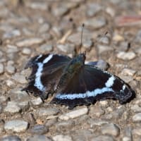 3月初日の里谷戸にて