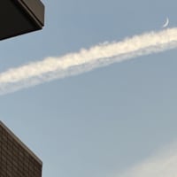 🔵夏を越せる気がしない🔵2025.7.1