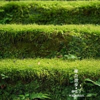 久しぶりの鎌倉。