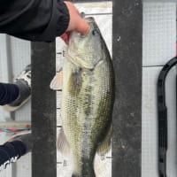 2025/4/28 釣果