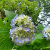 夏バックができました