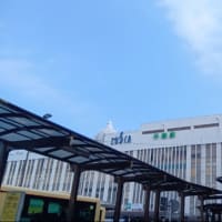 ラーメン　逗子の小坪漁港で、めかぶラーメンからのぉ平塚七夕祭りへ
