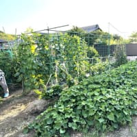 7月12日（土）②