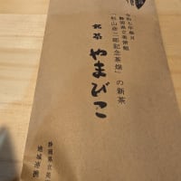 静岡県立美術館　杉山彦三郎　茶園