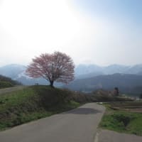 大パノラマ針ノ木岳🏔
