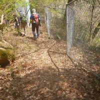 安佐町久地　岳山周回登山（２）　周回詳細　