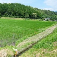 おじさんの〝ボヤキ〟