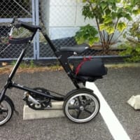 赤川鉄橋を見てきました。