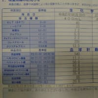 検査結果に驚く。