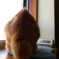 気が付けば１１月