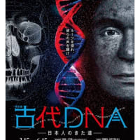 国展やら上野やら2025の４月