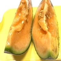 6月28日（土）