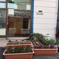 秋を感じる日々となりました