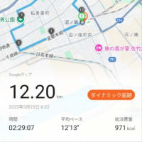 雨の中修行散歩、沼ノ端駅駅を歩く
