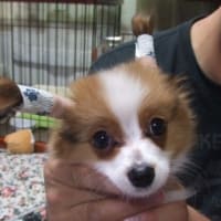 みいちゃん　空斗　海斗　とのお別れ