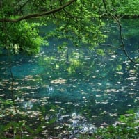丸池様（山形）