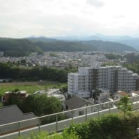 病院からの風景