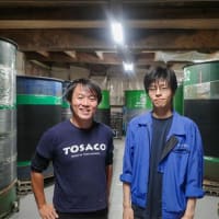 TOSACO 酒粕ヘイジーIPA(トサコ)豊能梅限定コラボ 新発売！