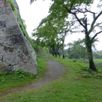 2019年通信簿 65 古谷拓郎 - オリオン村（跡地）