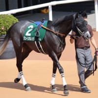 春競馬１５