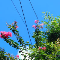 新しい景色を求めて！。