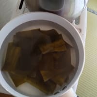 まだまだ続くよ～節約料理🎵