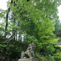 2022/07/30 八百万の神々の下、日枝神社にて