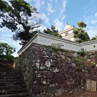 肥前の城と肥後熊本城を訪ねる　東海古城研究会の特別見学会に参加
