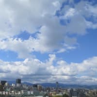 4/12~15 ちょこ撮りから