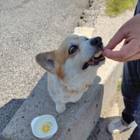 あまりの暑さに・・・