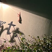 10月のご予約お待ちしております。