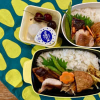 赤魚の麹漬け焼き弁当ときのう何食べた？より