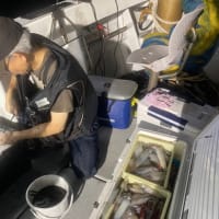 ７月８日の釣果〜🎣🐟