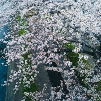 2019年４月３０日に寄せて