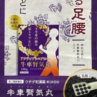 漢方薬の処方 ❣
