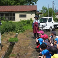 ５月２７日（火）５年生田植え体験