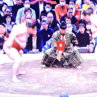  6/10 銀ちゃん　何やったんだ？　先場所休みだったから