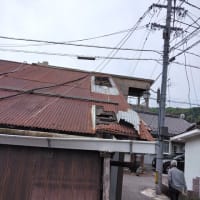 早速の対策に。