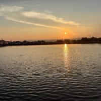 夕方散歩