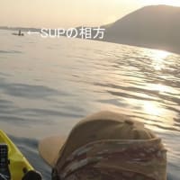 今シーズン2回目のカヤックフィッシング
