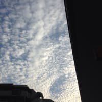 ウロコ雲かな？