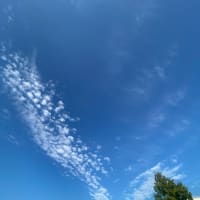 いぶきGW H2Aロケット 最終号機 打ち上げ成功 H2A最終号機 GOSAT-GW 地球温暖化ガス 水循環変動 気候変動 SDGs JAXA 筑波宇宙センター ワルナスビ 夏至からの太陽の太陽系にて