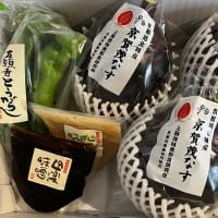 京都から賀茂なすと万願寺とうがらしが届く