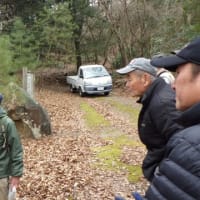 耶馬渓で原木の切り出し作業