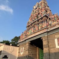 南インドの旅（その73）；パルタサラティ寺院