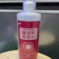 苔対策その後