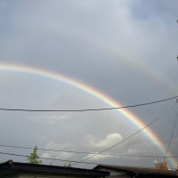 体育大会