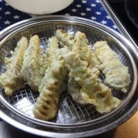 ©編：「破竹」という「タケノコ」「筍」をいただいた、料理するっきゃないでショ。