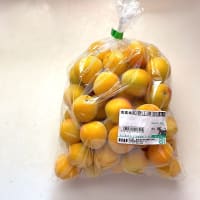 梅ジャムです